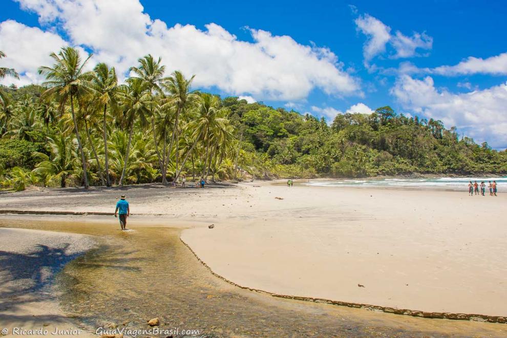 Imagem da linda vegetação colada as areias da Praia da Engenhoca.